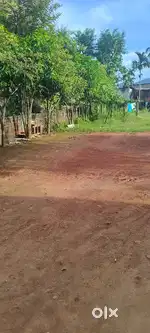 Land for Rent