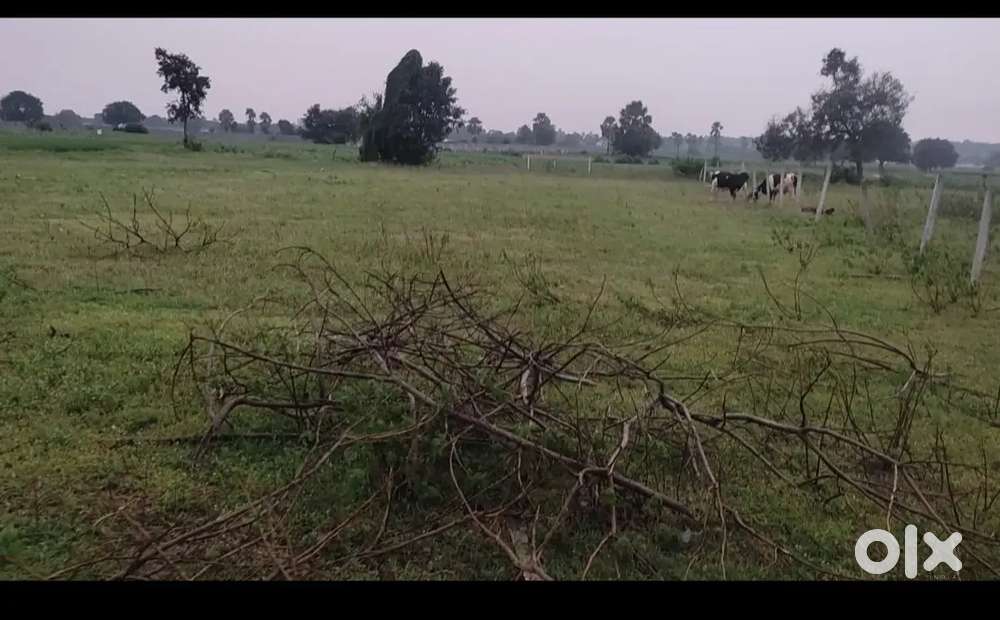 15 guntas BT road facing agri land @Thimmapur , Jagadevpur Mandal