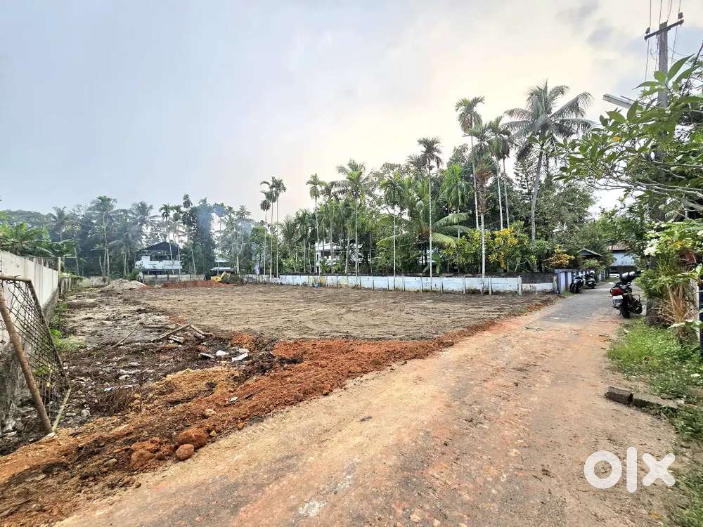 3 AND MORE CENT ORGINAL LAND IN NORTH PARAVUR NEAR VANIYAKAD