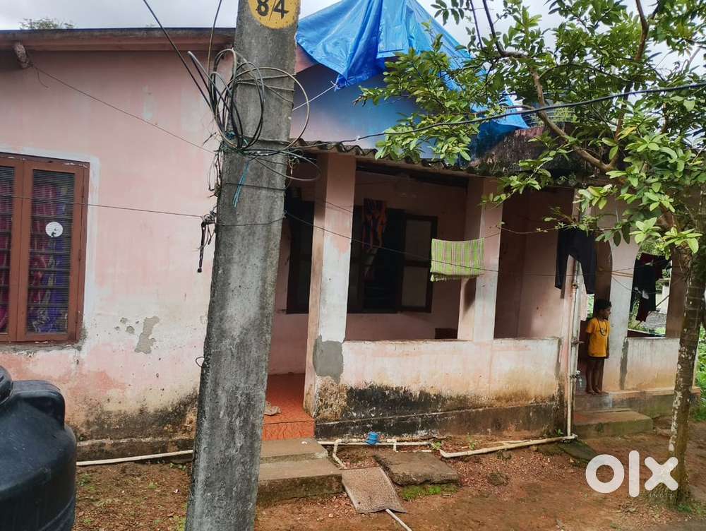 6 cent land for sale at muttampalam Kottayam