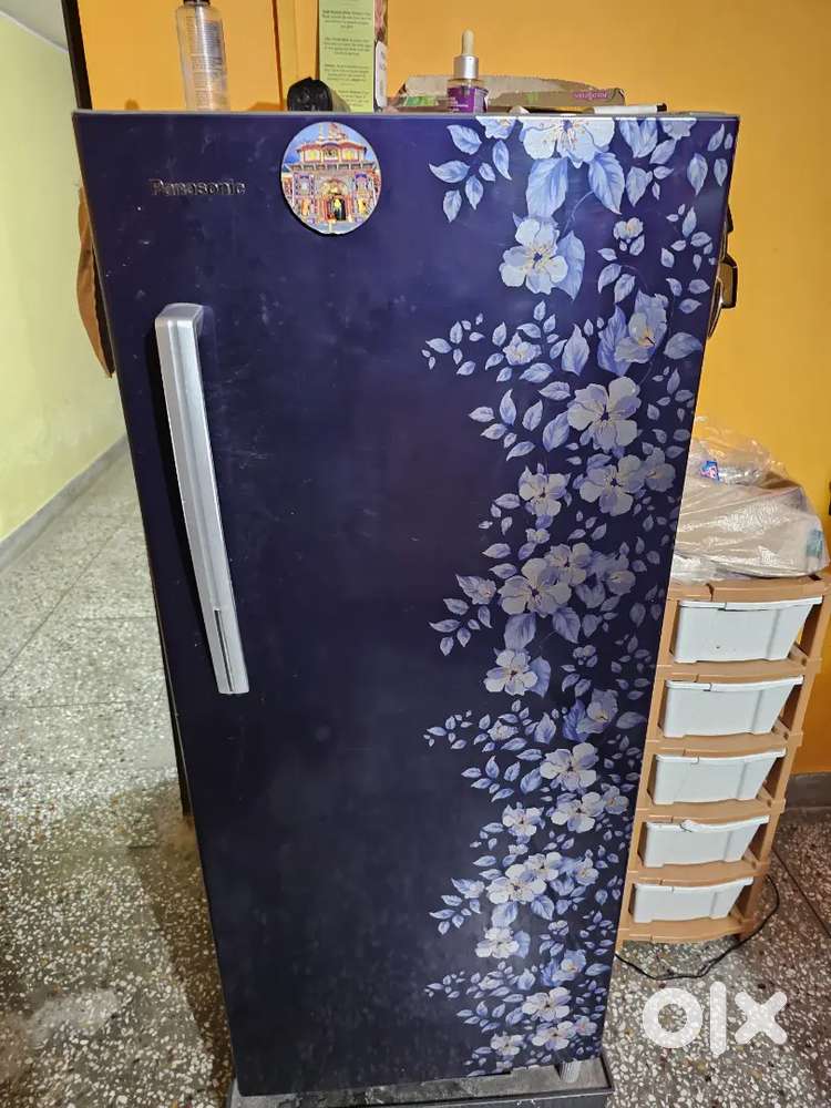 Panasonic fr 4 year old