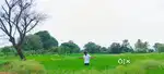 Agriculture land 1 Ackers
