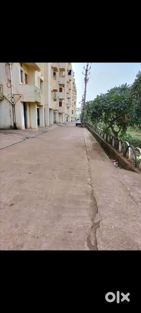 Flat for rent bachelors