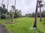 5Cent Land For Sale In Neericode Near Kongorpilly Varapuzha