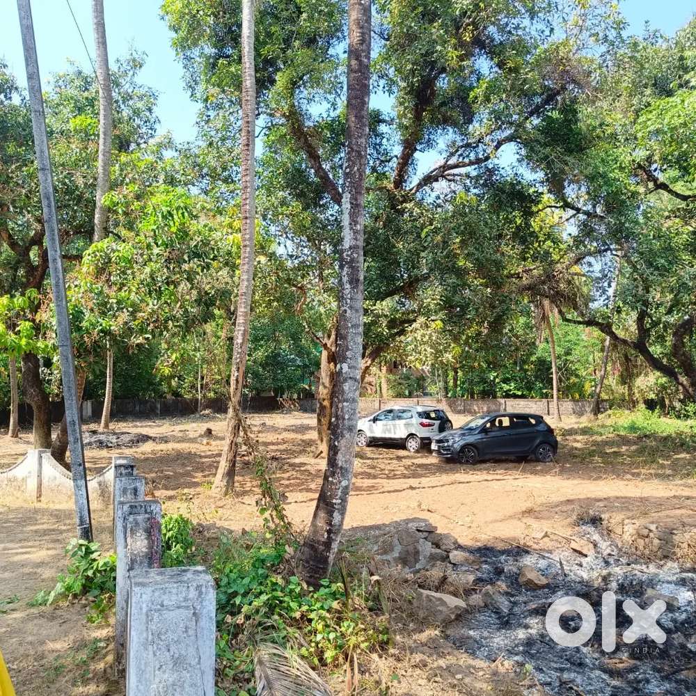 Plot for sale at west kadungallor