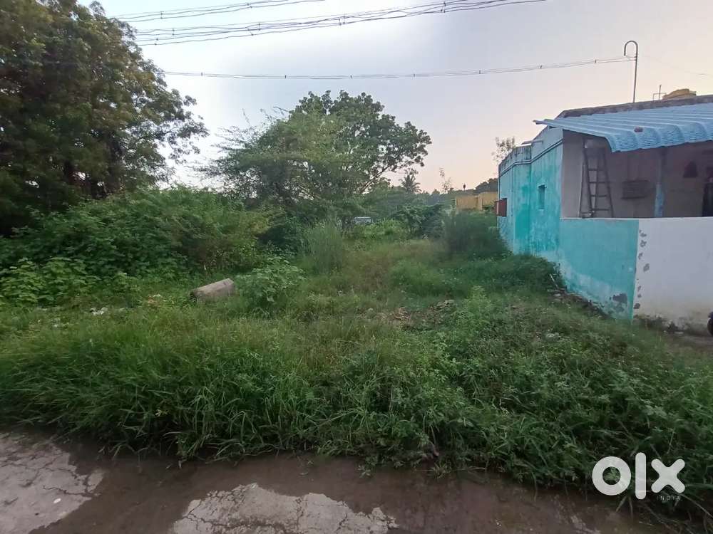 DTCP Approved Plot For Sale