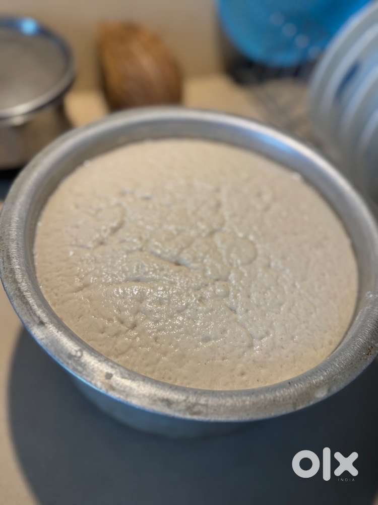 South indian , only dosa idli coffee, age -20years to 30 years