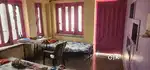 Need one roommate