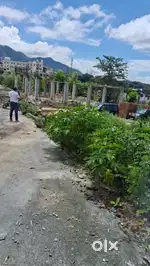 Plot for sale at a reasonable price