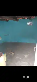 सिंगल रूम किराए से देना है, सामुदायिक भवन के पीछे कायाघाट रायगढ़