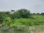 Plot for Sale in Eluru (Sanivarapeta)