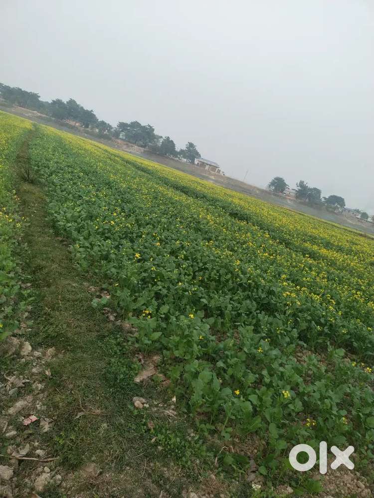 Any need please DM me