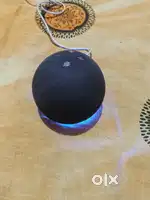 Alexa echo