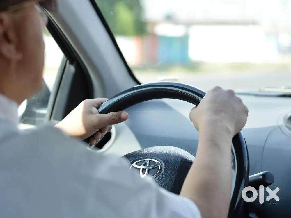 Driver Job