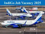 Become part of world's fastest growing company / airport job