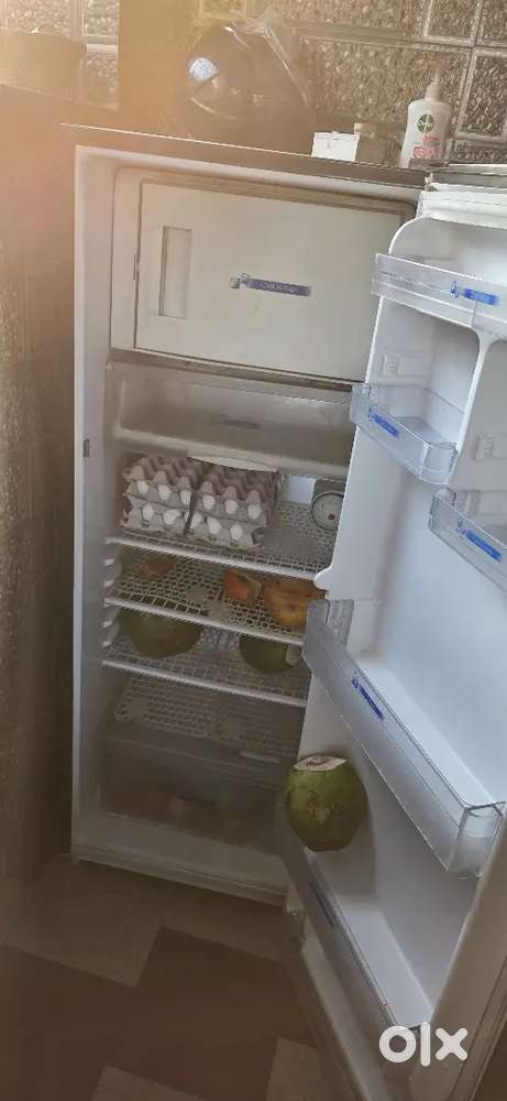 307 Ltrs Kalvinator Refrigerator