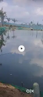 use for farming