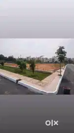 Lucky plots from erayaa builders