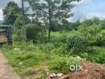 NA plot for sale