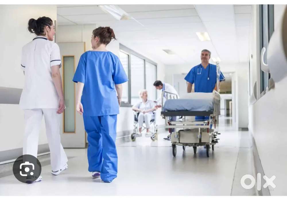 I need a job in hospital,clinic and medical