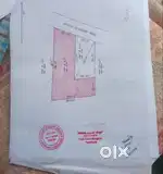 Rohini plot
