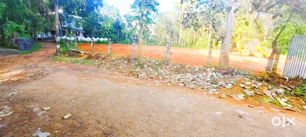 Land for sale വെള്ളൂർ pampady Manarcad