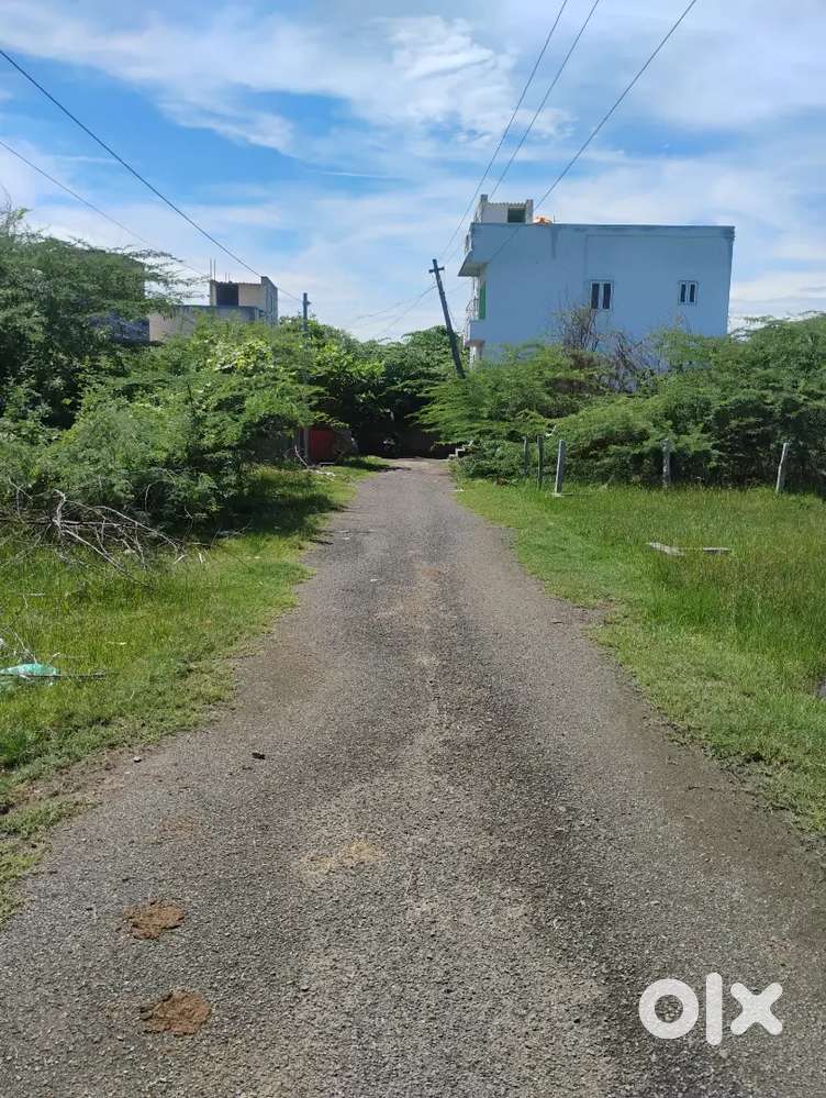 New house Rent