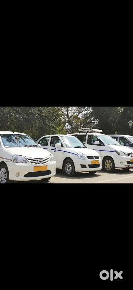 Need Driver Professional for Travel Agency Need Batch Licence.