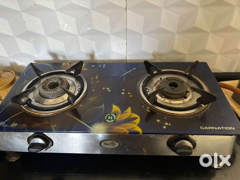 Water Purifier with  Gas Stove