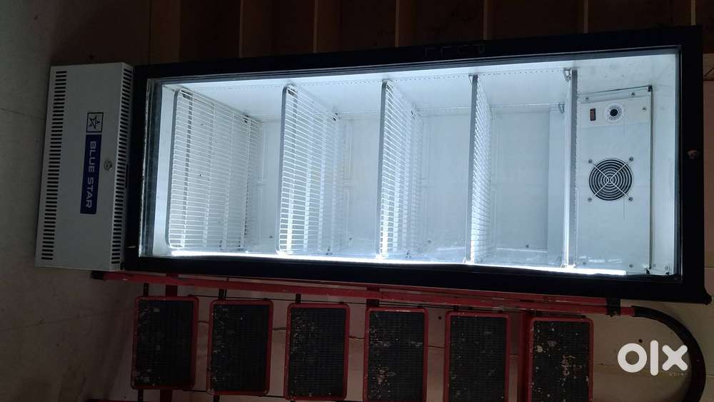 Blue star commercial fridge