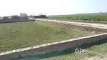 Tri Agro Projects