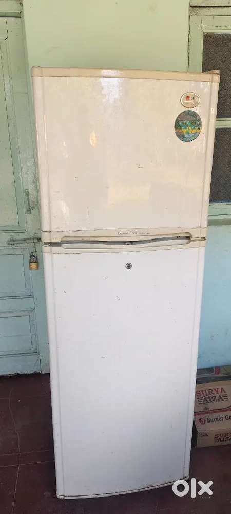 LG Fridge double door