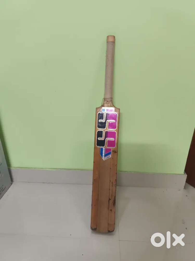 SS Kashmir Willow original bat