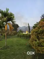 ARAKU VALLEY ECO RESORTS