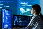 Software Developer Fresher