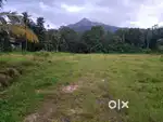 18 Cent Dry land Bus Route Second Plot in Muttil