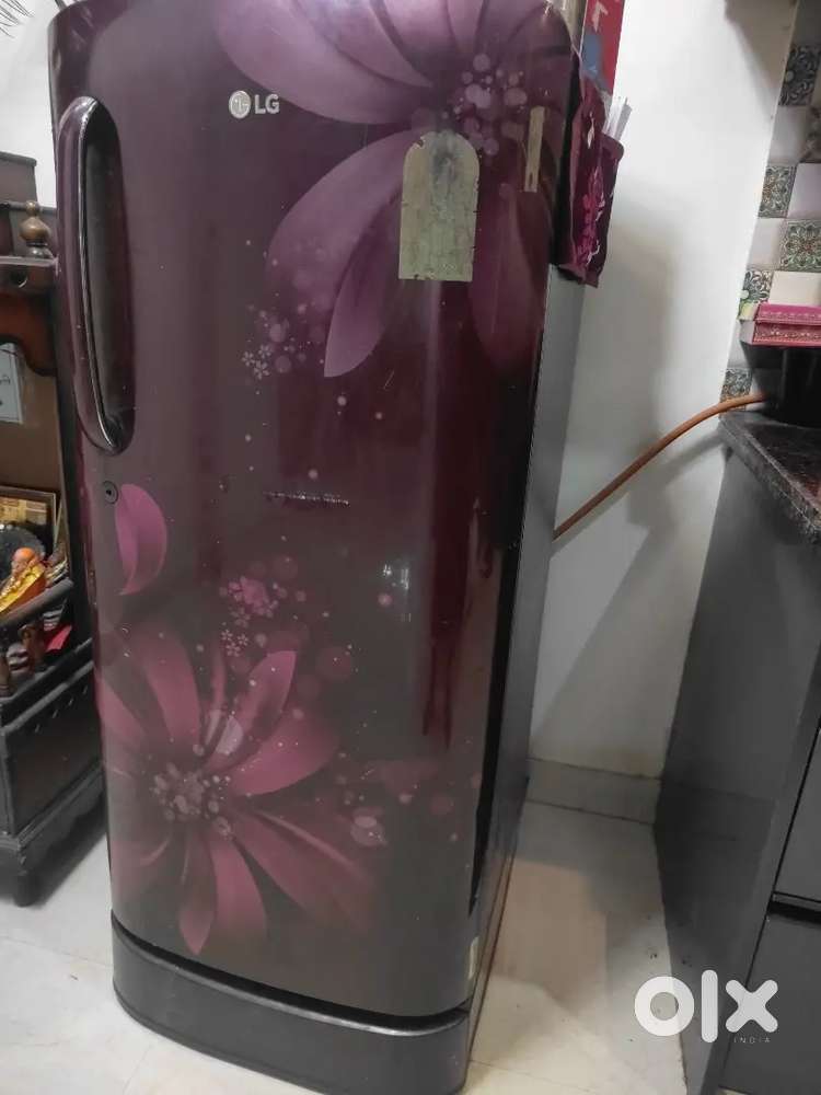 LG Single Door Fridge