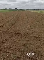10cents Farm Plots at SKU, KendriyaVidyalaya backside, Anantpur