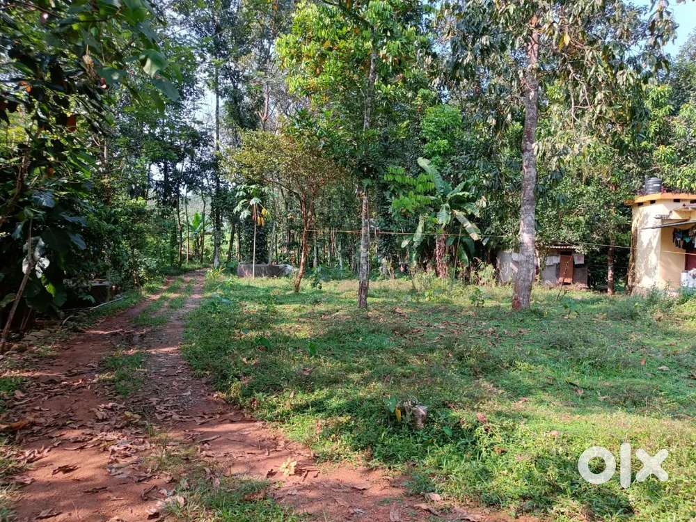 22 Cent Square plot with old house