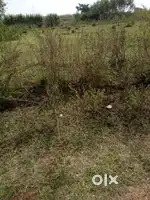 लोहरदगा- किस्को रोड मिशन स्कूल के पास में जमीन बिक्री के लिए उपलब्ध है