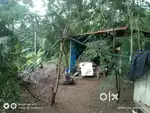 7 cent land for sale, vilappishala, near CAT college