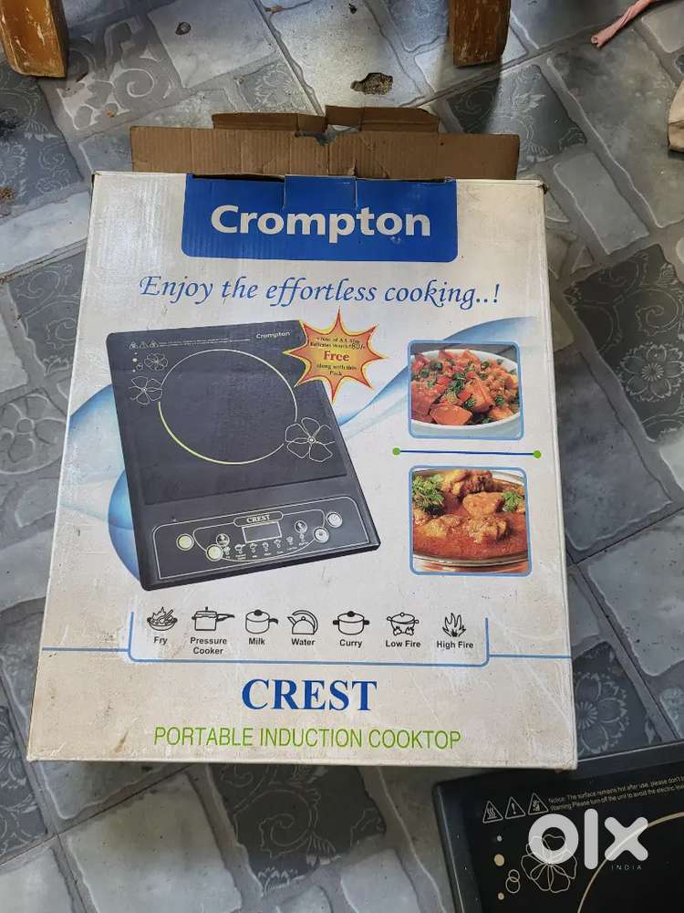 Crompton electric Induction