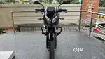 BAJAJ PULSAR 150CC SINGAL OWNER EXCELLENT CONDITION