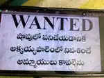 Wanted girls