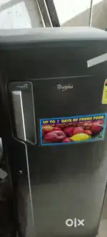 Single door fridge with warranty and good condition