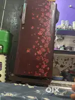 Freeze fridge