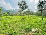 ഇലവീഴാപൂഞ്ചിറ 50 Cent Resort Property