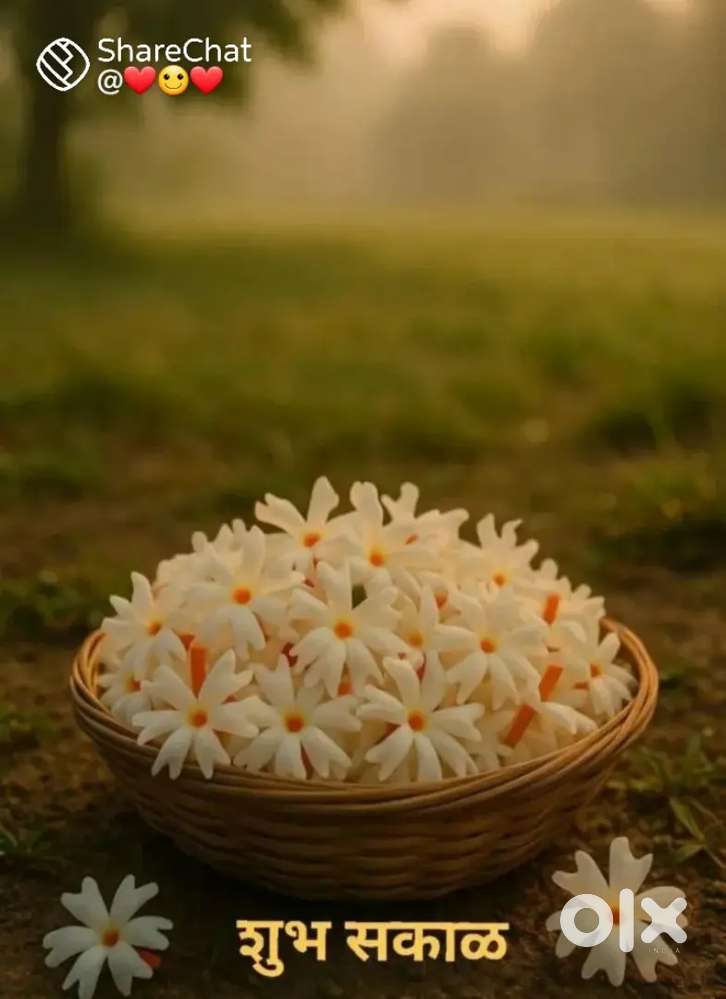 Need Sales person for masala business