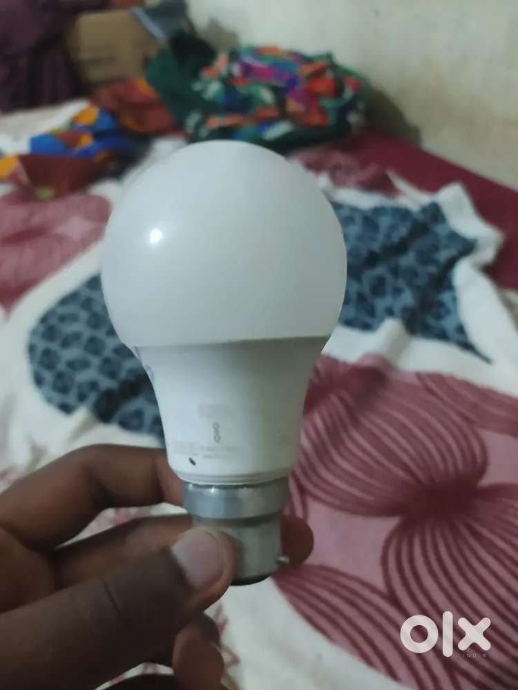 Bulb Not Work