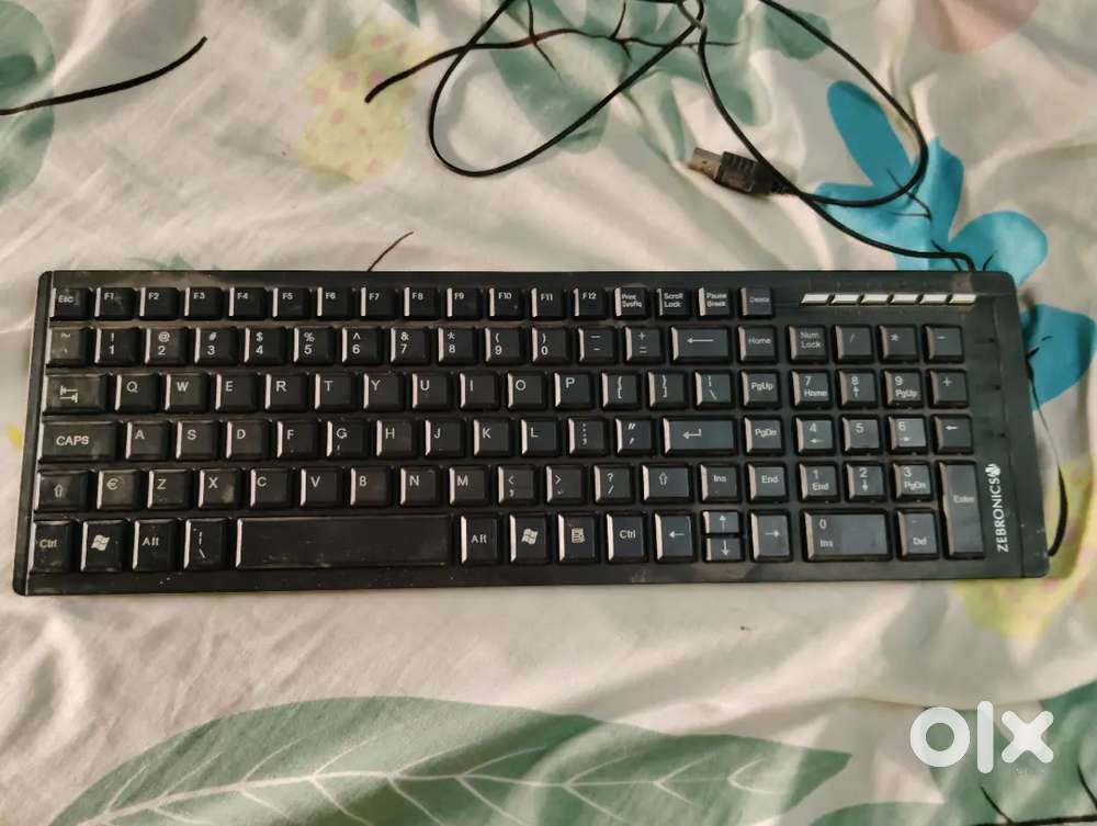 Zebronics keyboard